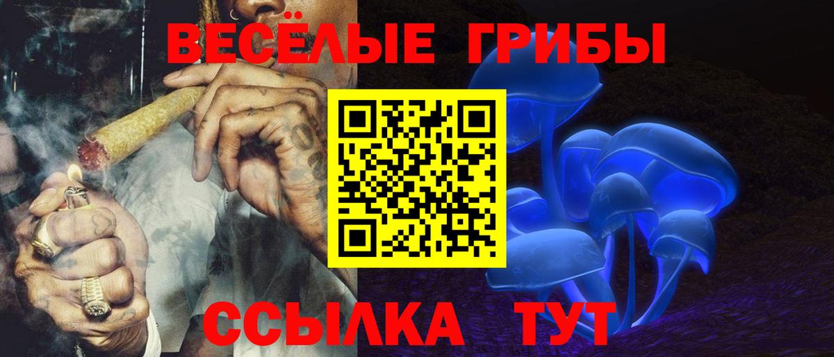 Псилоцибиновые грибы Cubensis Электросталь