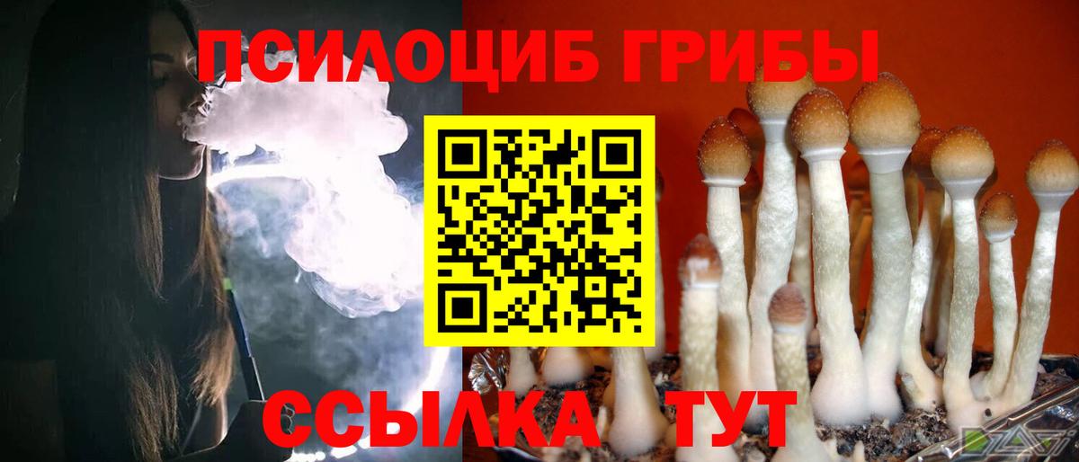 Псилоцибиновые грибы Psilocybe  Вход с VPN  Электросталь 
